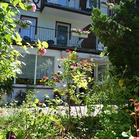Hamborner Muhle Hotel 3*
